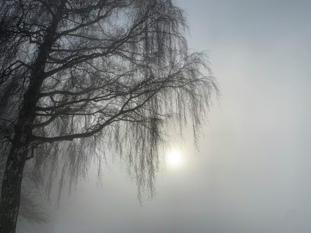 不安がある自分は未完成、
そう思い込んでいませんか？

ざわざわは敵ではなく、
今のあなたが生きている証。
消さなくていい。
少し横に置くだけでいい。