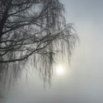 不安がある自分は未完成、 そう思い込んでいませんか？ ざわざわは敵ではなく、 今のあなたが生きている証。 消さなくていい。 少し横に置くだけでいい。