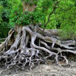 「ちゃんと説明できない自分」は ダメでしょうか。 わからないことを わからないままにする勇気。 それは、深く生きるための態度です。